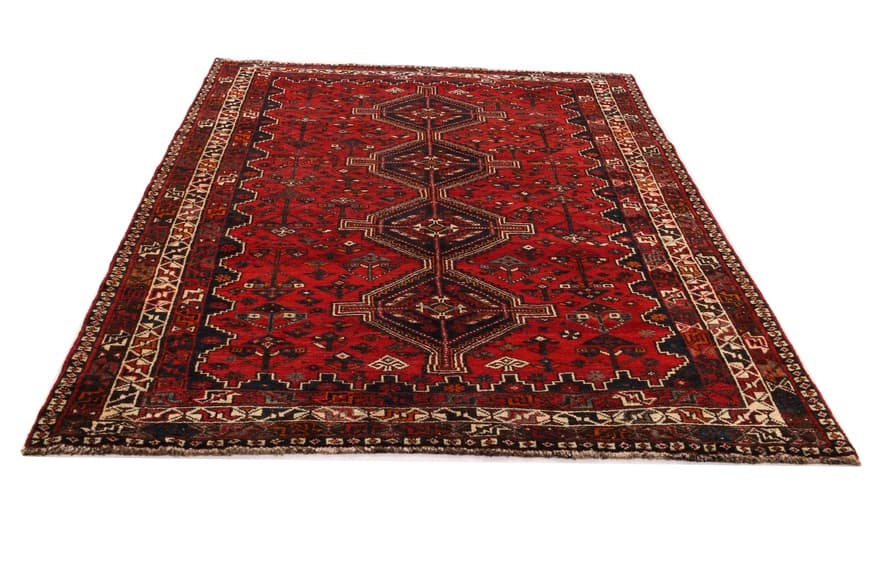 Schiraz 262x182