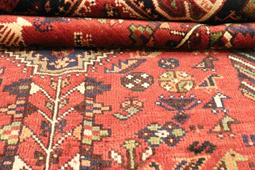 Shiraz 243x153 - Image 3