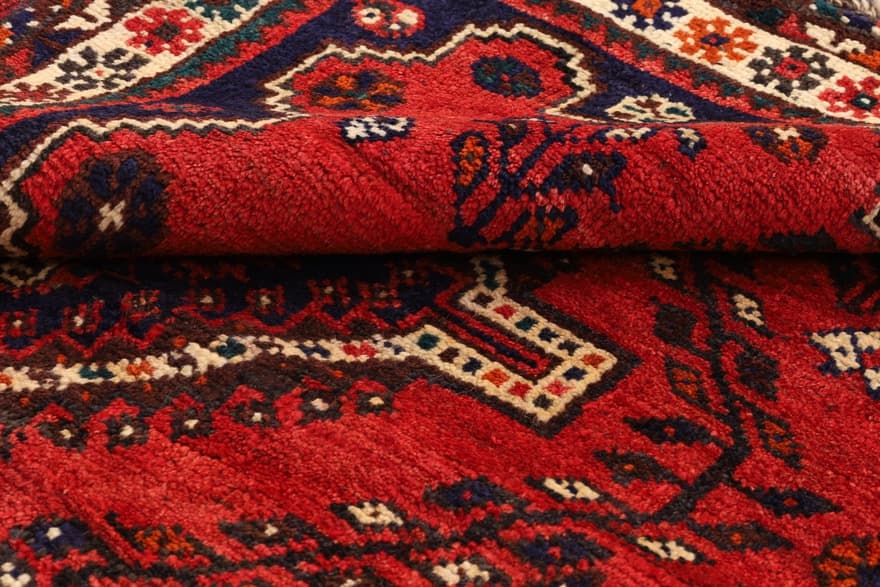Schiraz 248x164