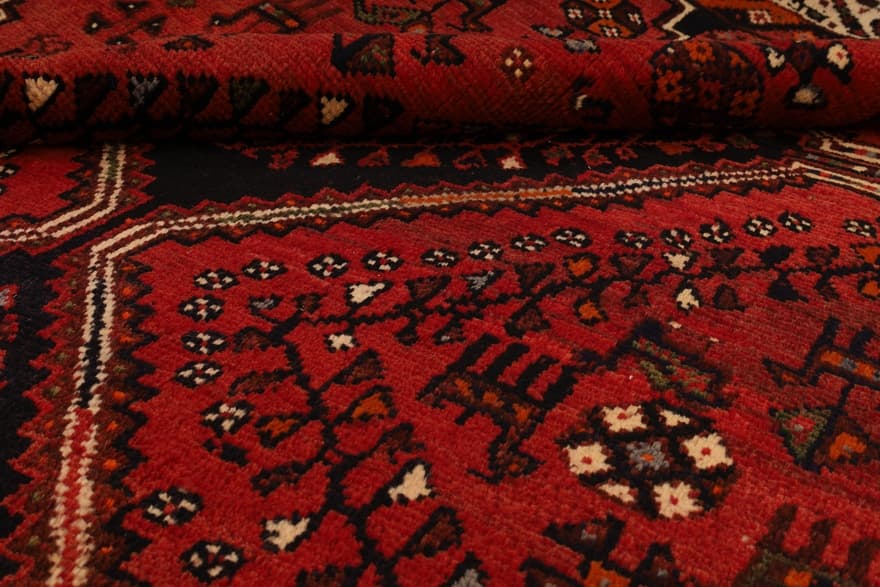 SHIRAZ  Carpet 311x211