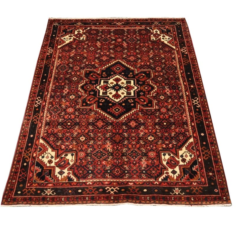 HOSEANABAD Carpet 218x157