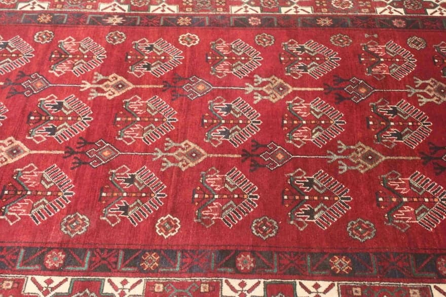 Kurdi 306x167 - Image 4