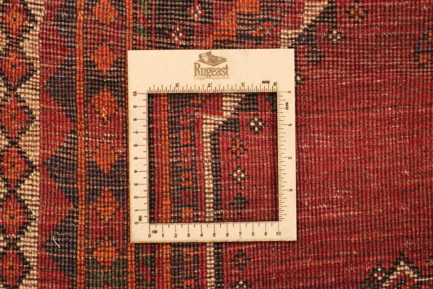 SHIRAZ 250x155 - Image 5