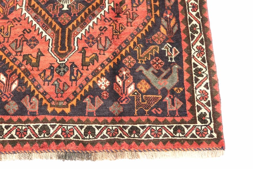 SHIRAZ 193x126 - Image 5