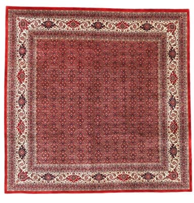 BIDJAR Carpet 252x254