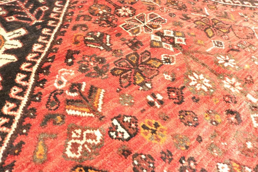 Shiraz 240x150 - Image 6