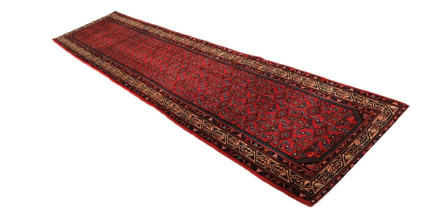 Hodenabad Carpet 395x98