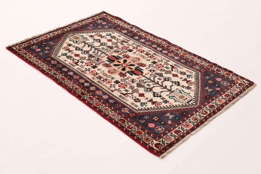 Schiraz 153x100 - Image 4