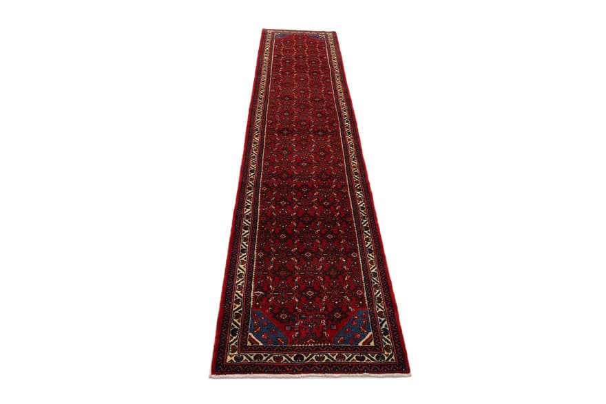 HOSEANABAD Carpet 396x83