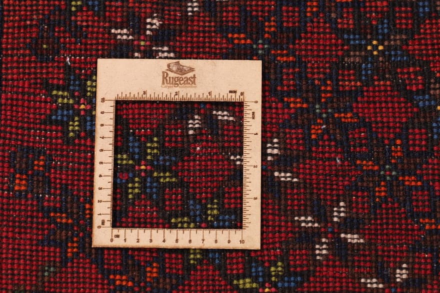 Schiraz 248x176 - Image 5