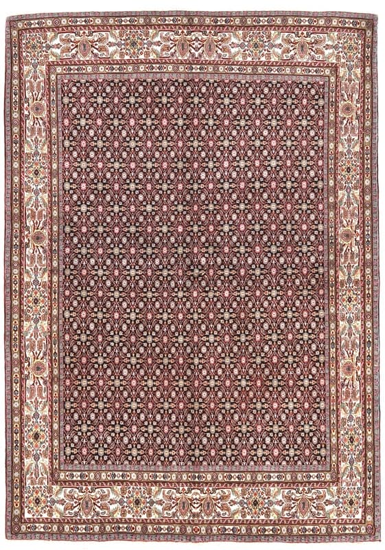 Moud  Carpet 228x161