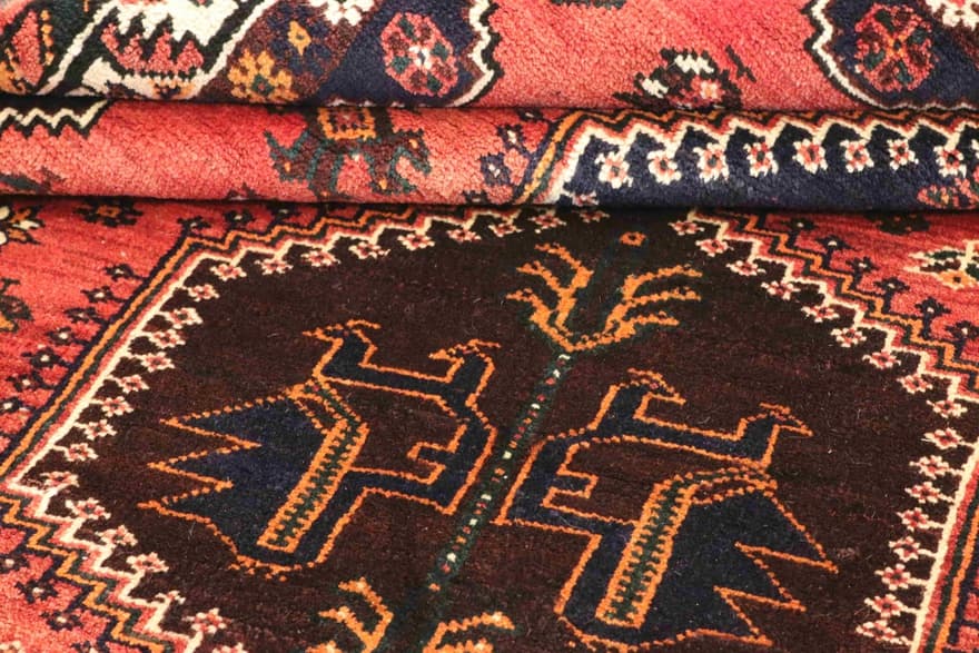 SHIRAZ 259x162 - Image 6