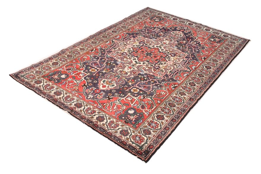 BAKHTIAR Carpet  263x167