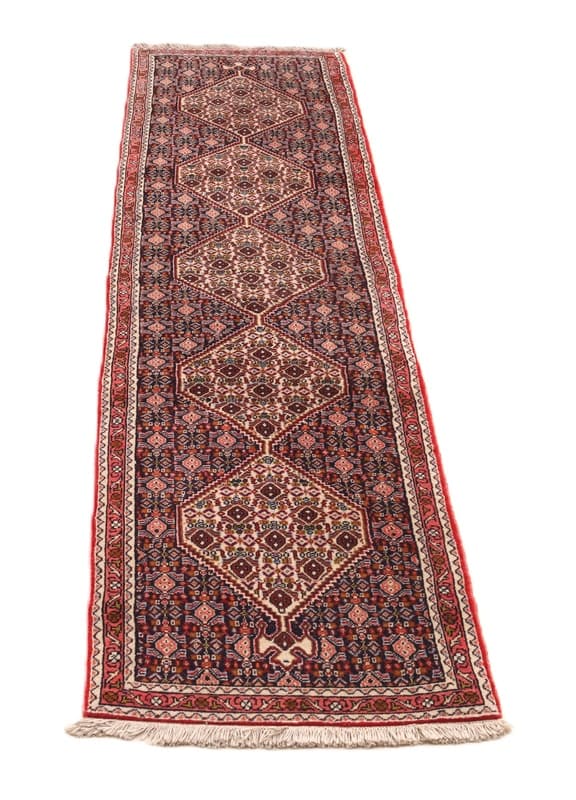 Bidjar  Carpet 255x57