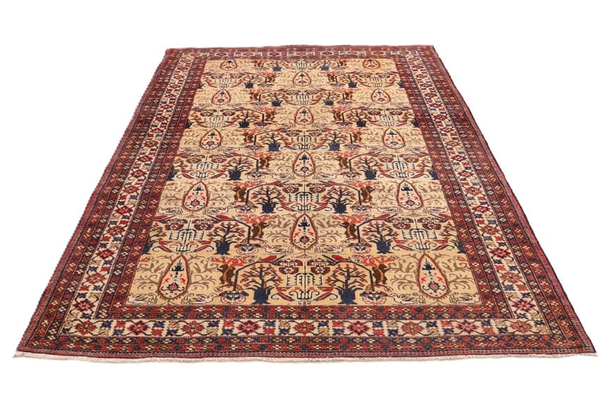 Azrbeijan Teppich 254x169