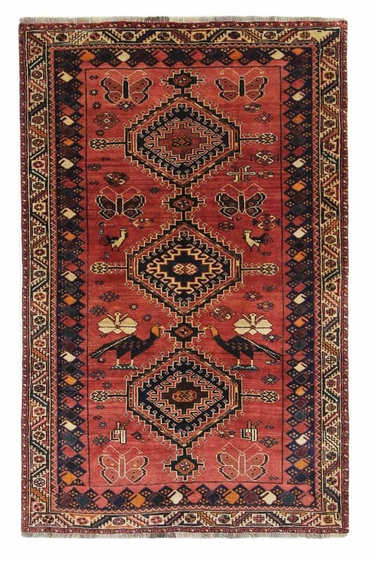 Shiraz 248x159