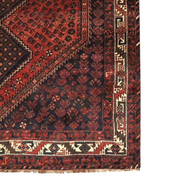 Shiraz 285x205