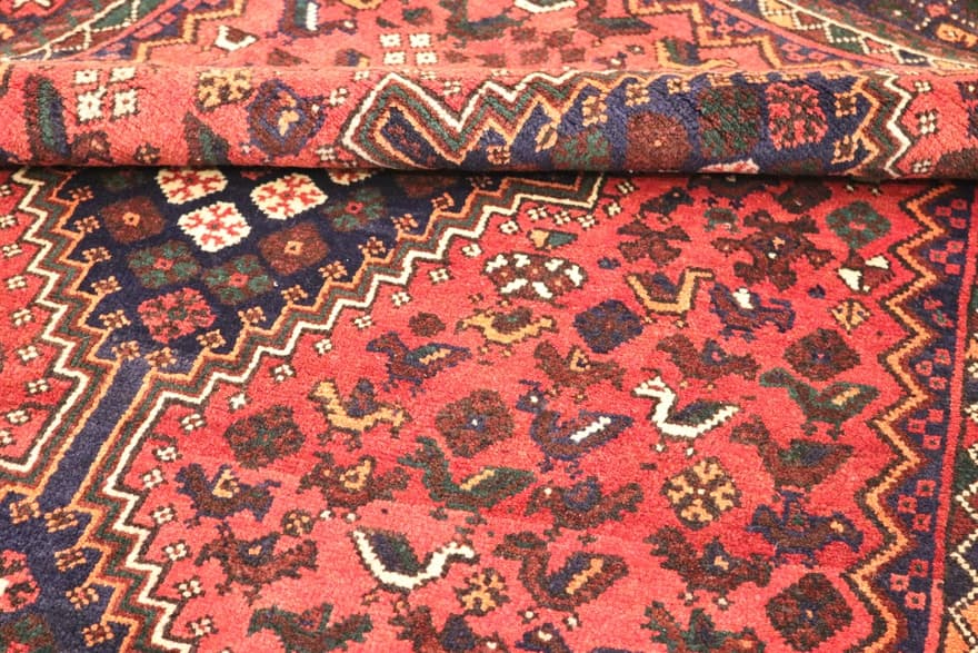 SHIRAZ Carpet 264x159