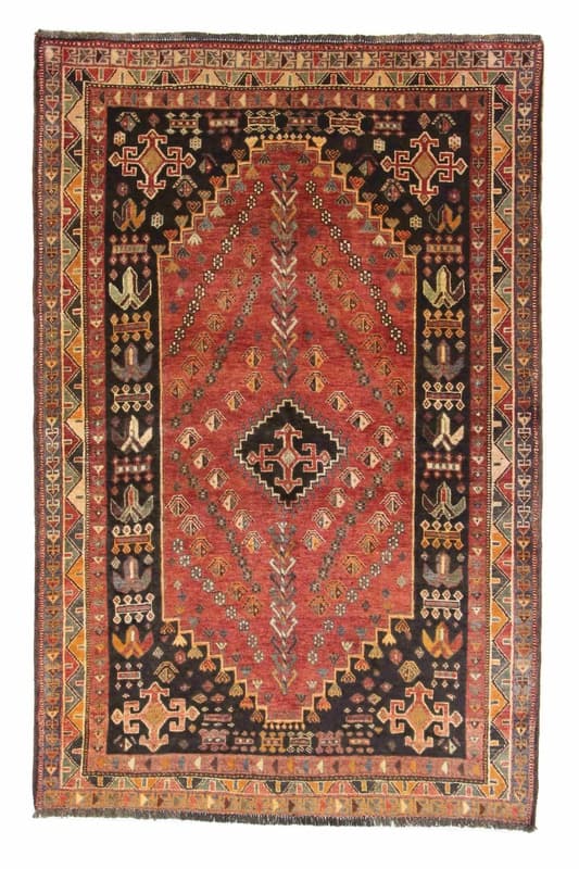 Shiraz 252x165