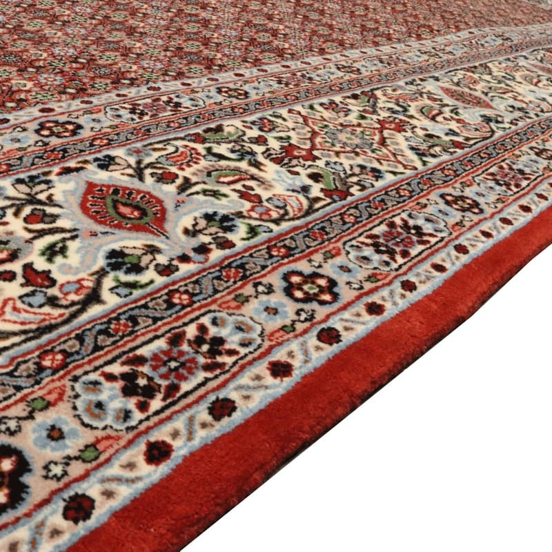 Moud Carpet 247x199