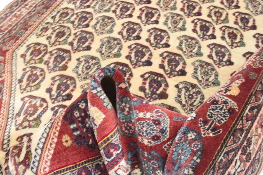 Ghashghai Carpet 245x153