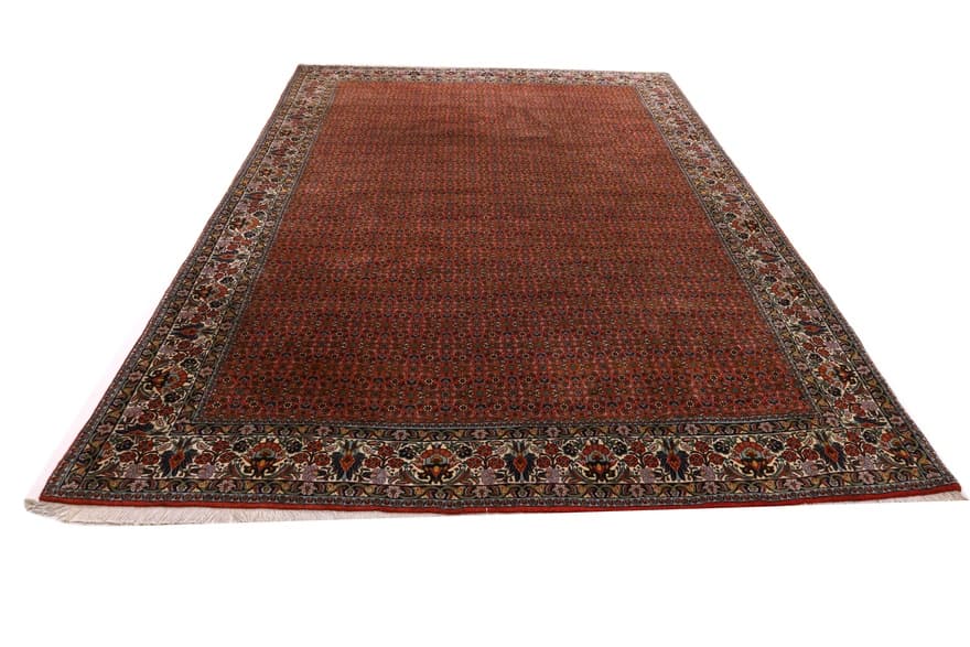 Bidjar Carpet 342x247