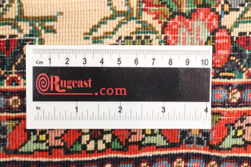Bidjar Carpet  50x57