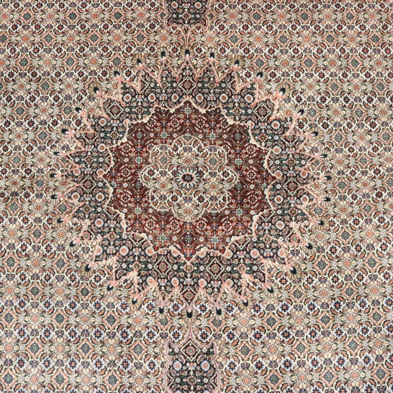 Moud Teppich 342x246