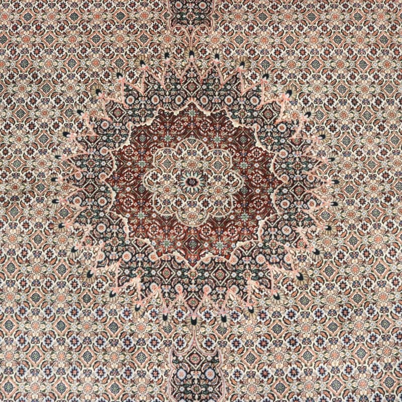 Moud Carpet 342x246