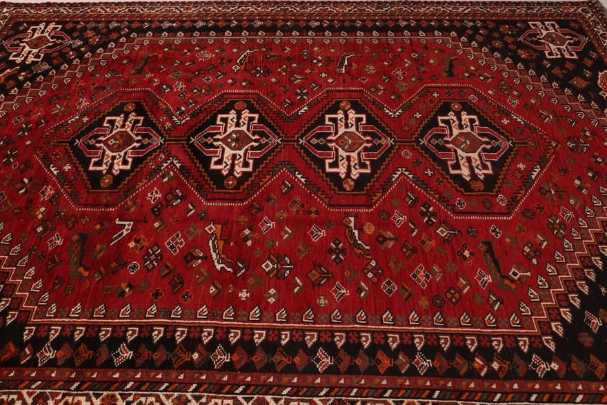 SHIRAZ  Carpet  310x204