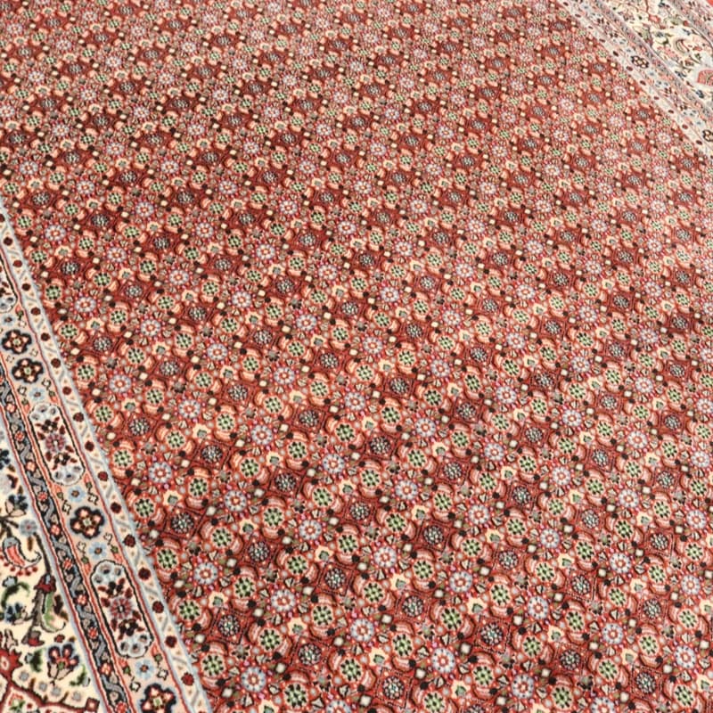 Moud Carpet 247x199