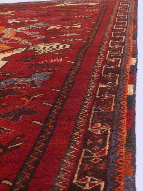 Shiraz 250x173 - Image 6