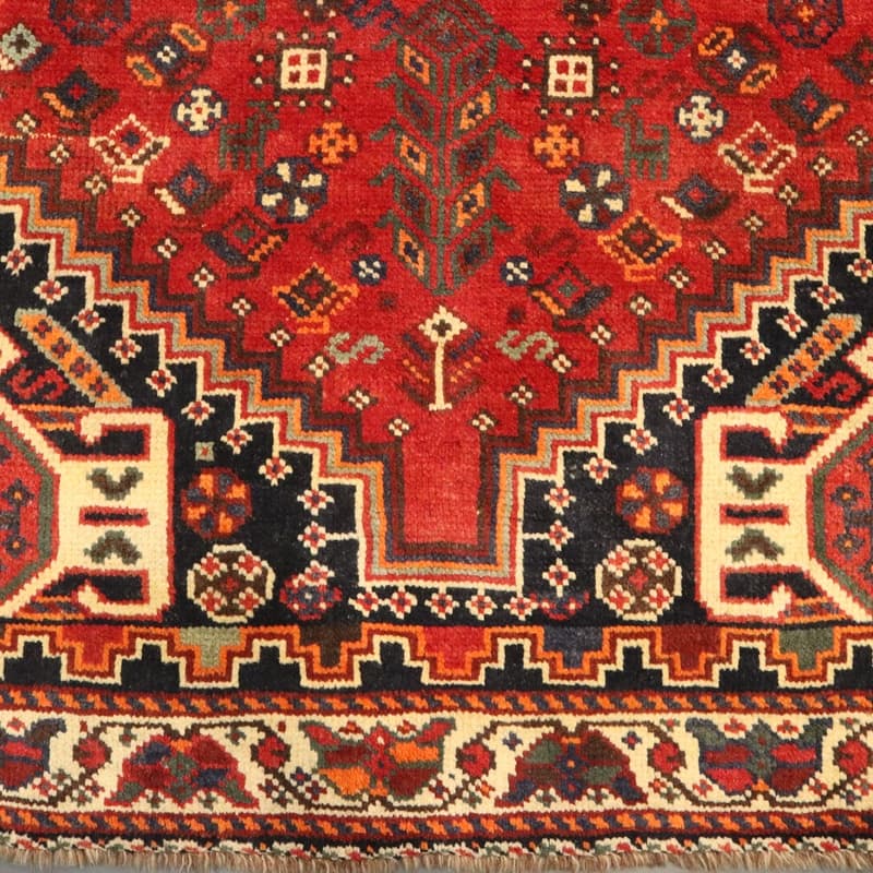 Shiraz Carpet 251x162