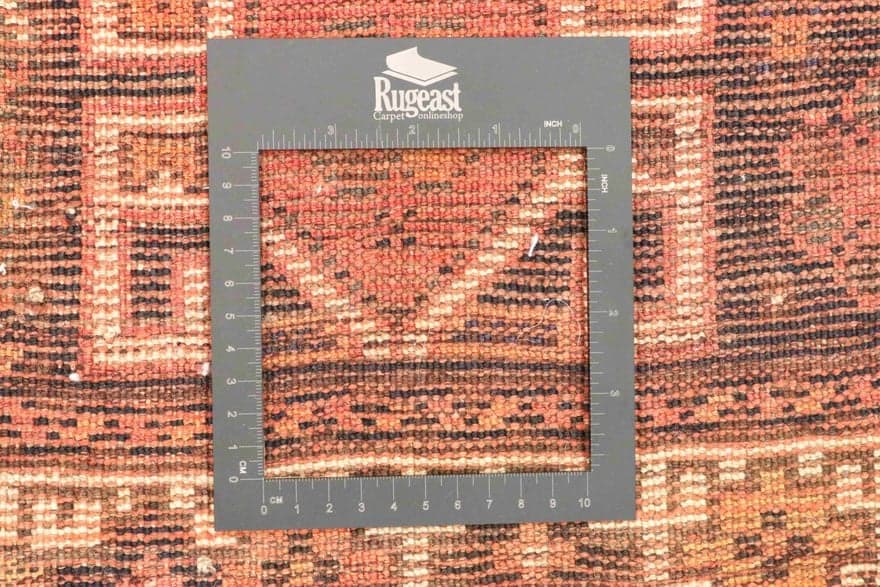 SHIRAZ 255x156 - Image 3