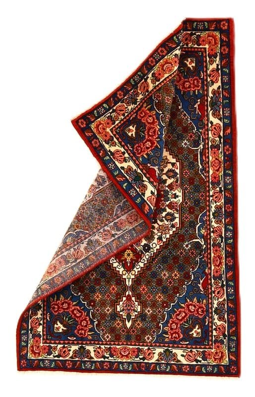 BAKHTIAR Teppich 163x101