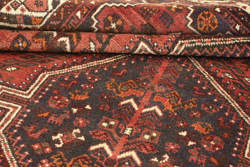 SHIRAZ 300x210 - Image 6