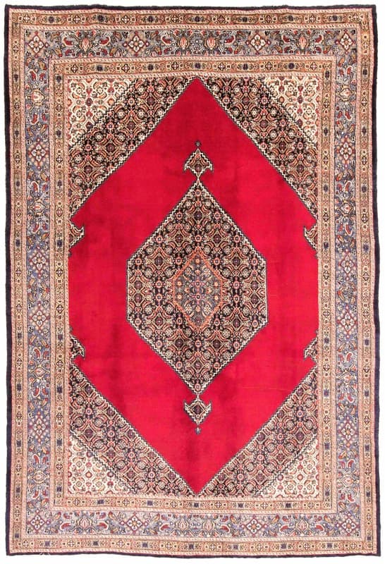 Birjand Teppich 315x210