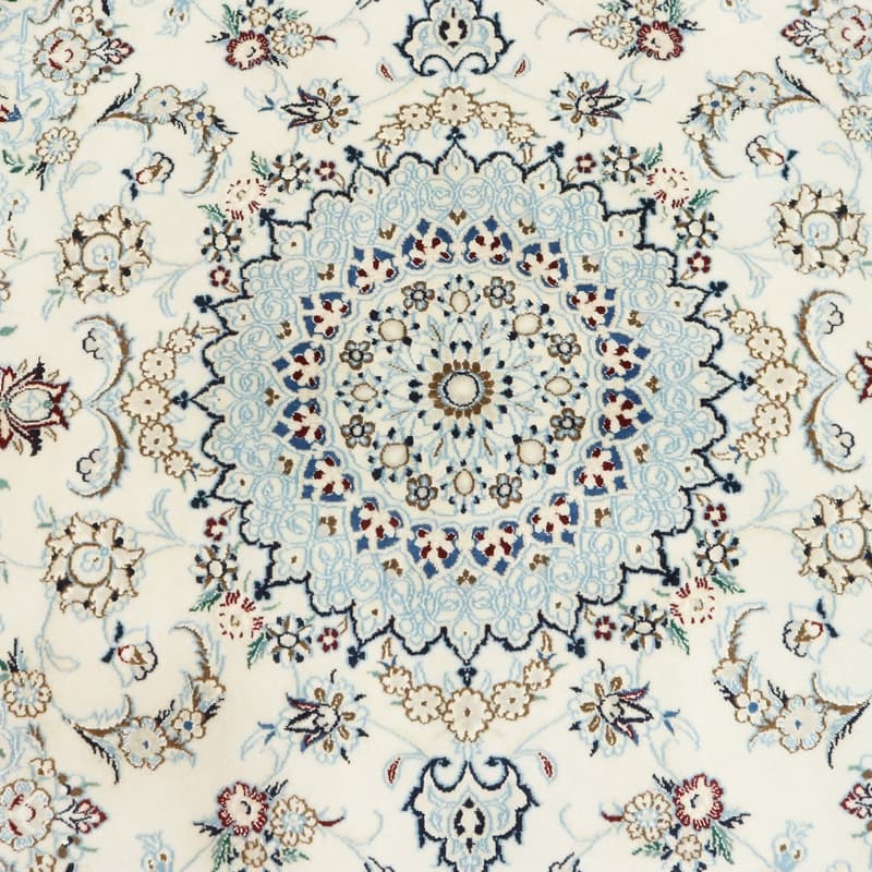 NAIN 9LA  Carpet  244x156