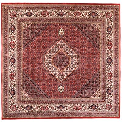 BIDJAR Carpet 248x250