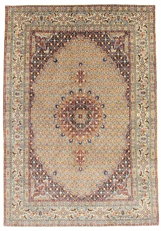 MOUD 241x170