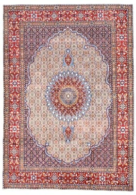 Moud Teppich 241x170