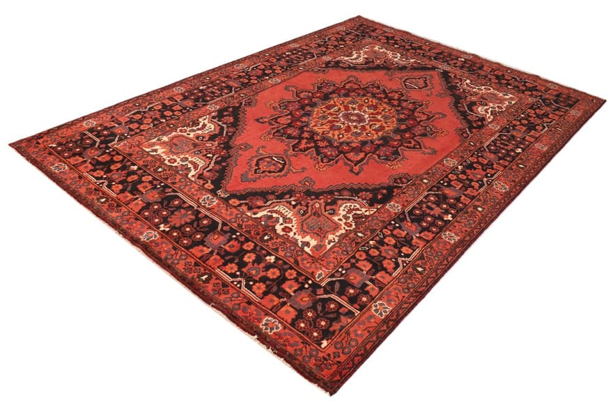 Schiraz 303x208 - Image 4