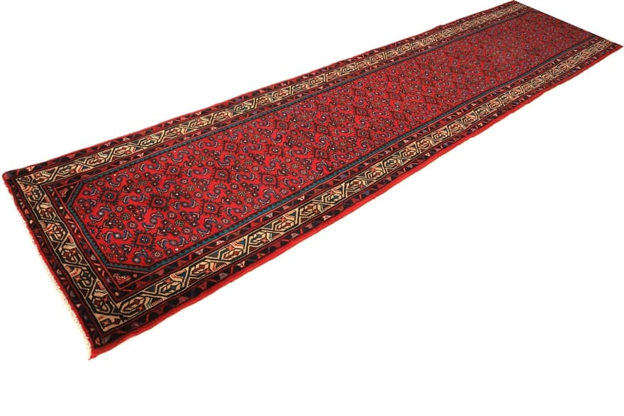 Hodenabad Carpet 395x98