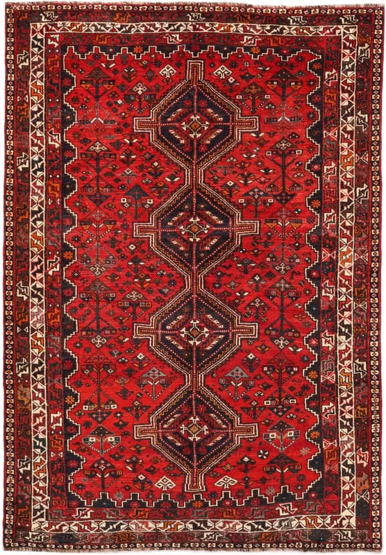 Schiraz 262x182