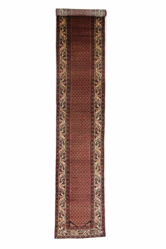 Hosenabad Carpet 398x75