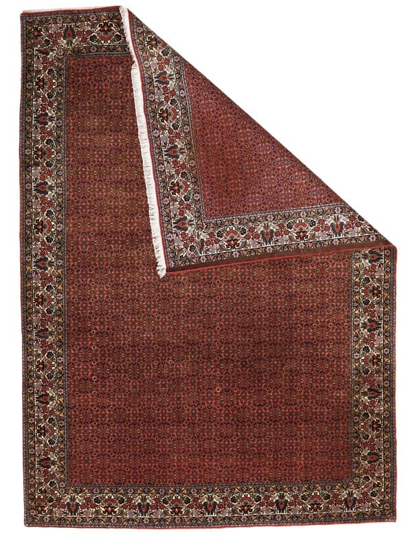 Bidjar Carpet 342x247