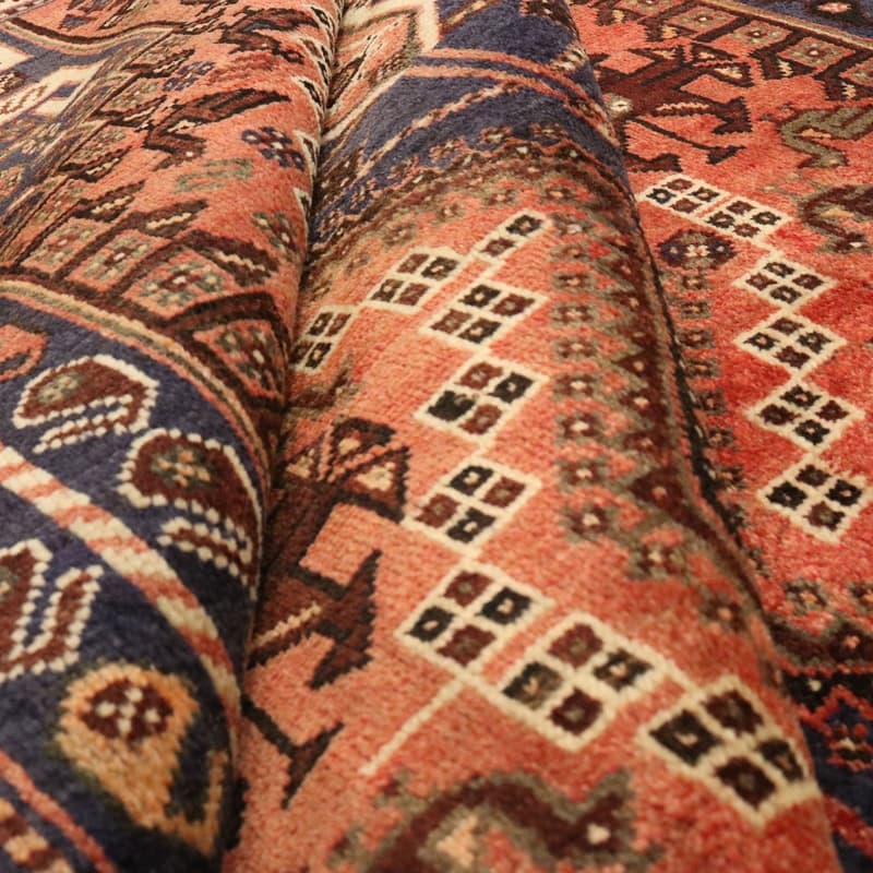 Shiraz Carpet 265x173