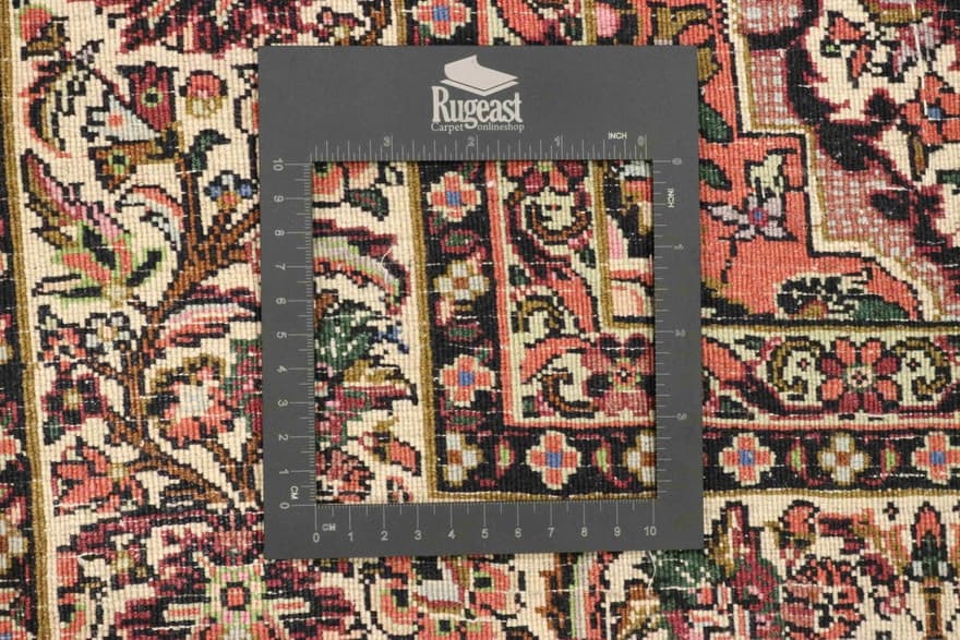 Bidjar Teppich 322x198