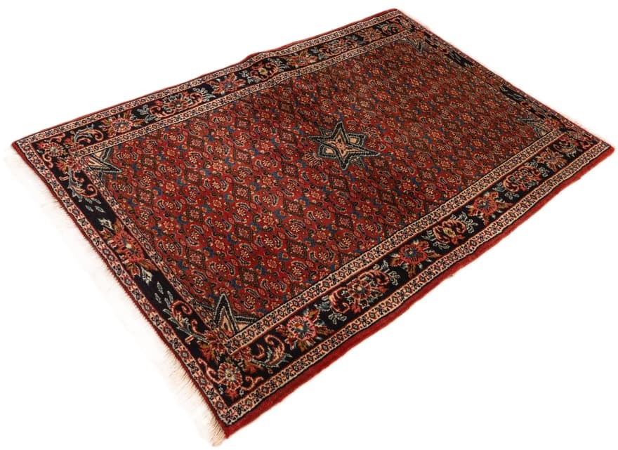 Bidjar 155x100 - Image 5