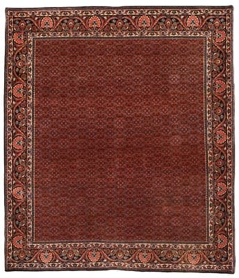 Bidjar Teppich 292x256